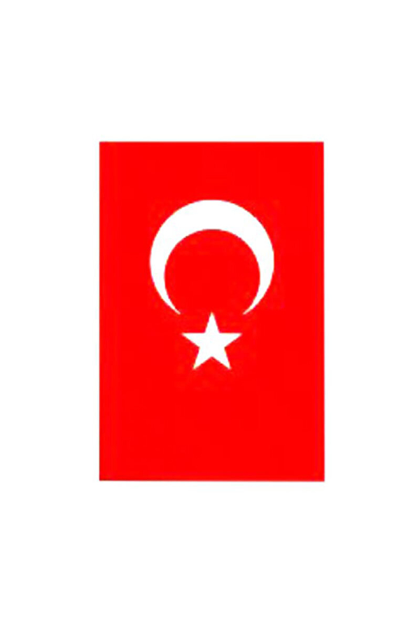 Türk Bayrak 100x150