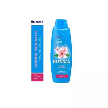 Blendax Şampuan 500ml Temizleyici Bakım Yasemin Özlü