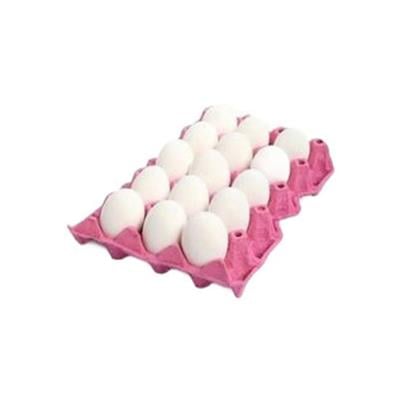 BAYCAN YUMURTA 15 LI (L)