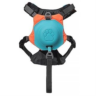 Hesperus Kendinden Gezdirmeli Göğüs Tasması Small