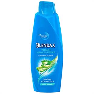 Blendax Şampuan 500ml Yoğun Nemlendirme Aloe Vera Özlü
