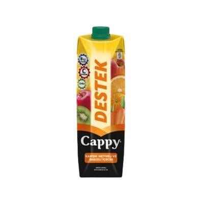 CAPPY 1 LT DESTEK