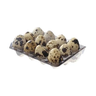 BOLVADIN BILDIRCIN YUMURTASI 12LI