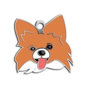 Dalis Pet Tag Papillon Köpek Künyesi