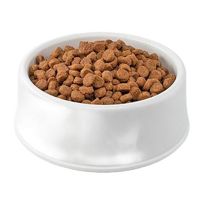 PETBITE YETISKIN KEDI MAMASI 15Kg KUZU ETLI