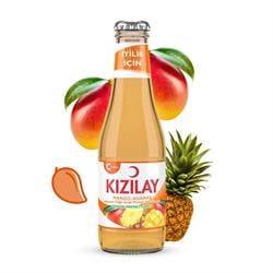 Kızılay Mango Ananas 200 ML