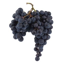 Üzüm Siyah Kg