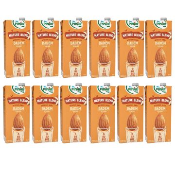 Pınar Nature Blend Bitkisel Bazlı Badem İçeceği 1 Litre x 12 Adet Vegan Laktozsuz