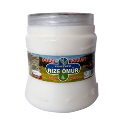 Yeşil Mavi Bidon Yoğurt 1 Kg