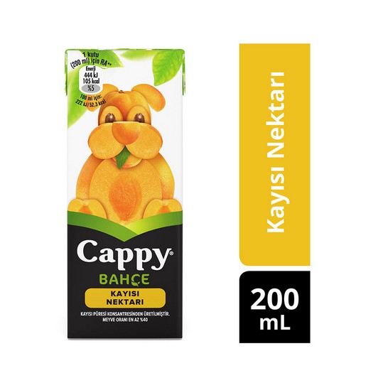 Cappy Kayısı 200 ml
