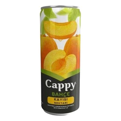 CAPPY 250ml KUTU KAYISI
