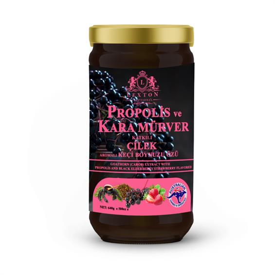 Lexton Propolis Kara Mürver Harnup 640 gr