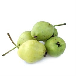 Köy Armut Amasya Kg