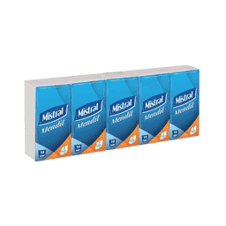 Mistral 3 Katlı Kağıt Mendil 10'lu