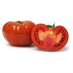 Domates Bıf