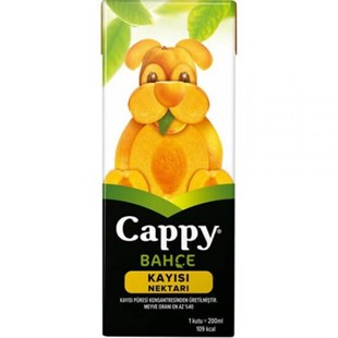 Cappy Meyve Suyu 200ml Kayısı
