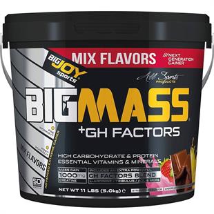 BigJoy Sports Bigmass GH Factors Mix 5 kg