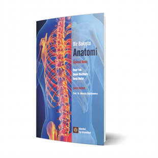 Bir Bakışta  Anatomi