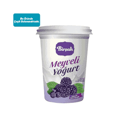 Birşah Çilek veya Orman Meyveli Yoğurt 500 G