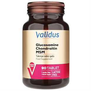 Validus Glucosamine + Chondroitin + MSM 90 Tablet