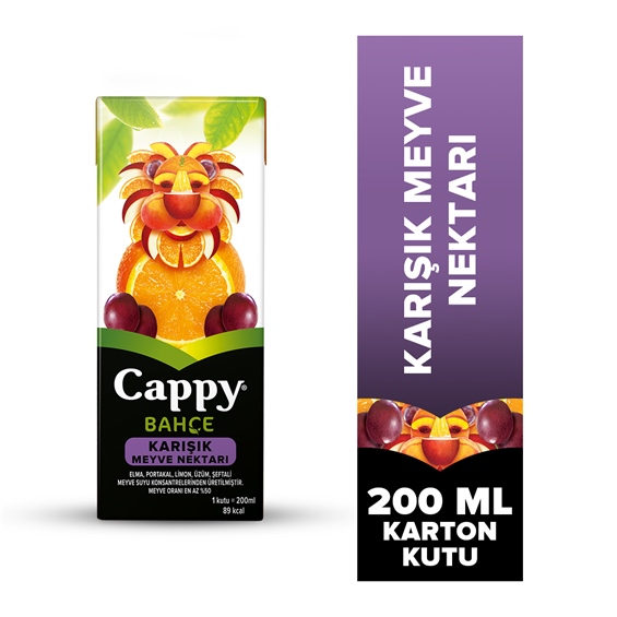 Cappy Karışık Meyve 200 ml