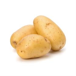 Patates Taze Kg