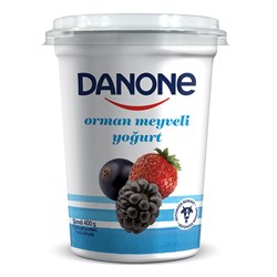 Danone Meyveli Yoğurt Orman Meyveli 400 Gr.