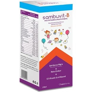 Sambuvit-B Multivitamin & Multimineral Şurup 250 ml