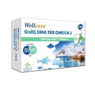 Wellcare Uniq Omega 3 Balık Yağı 750 mg 30 Kapsül
