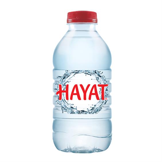 Hayat Su 330 ml 
