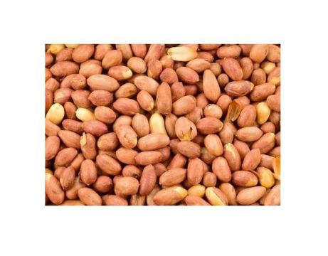 Nevden Yer Fıstığı Kavrulmuş Tuzsuz 500 Gr