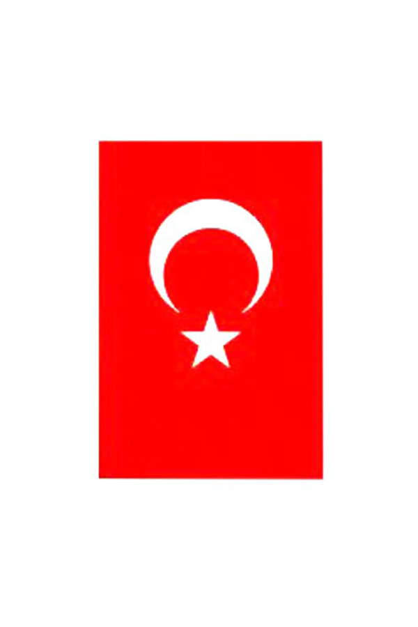 Türk Bayrak 30X45
