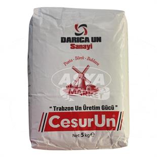 Cesur Un 5Kg Darıca Un Sanayi Baklavalık Böreklik Unlar
