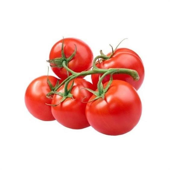 Domates Salkım kg