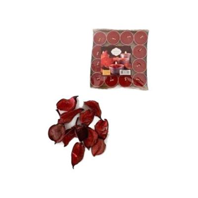 ONTON MUM TEALIGHT RENKLI 16LI