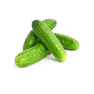 Salatalık Turşuluk Kornişon (Kg)