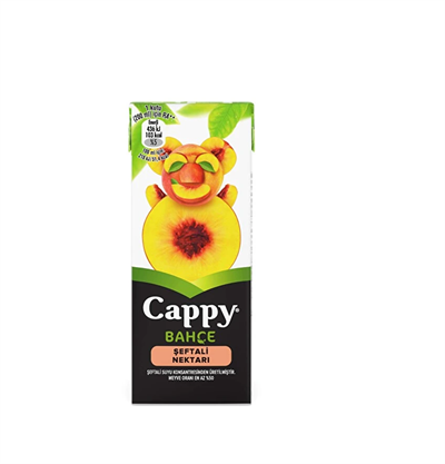 CAPPY MİNİ ŞEFTALİ 200 ML