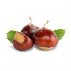 Bursa Duble Kestane Kg