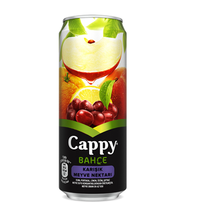 Cappy Karışık Meyve 330 ml