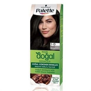 Palette Kalıcı Doğal Renkler Saç Boyası Siyah 1-0