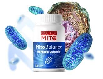 Doctor Mito MitoBalance Berberis Vulgaris 60 Kapsül