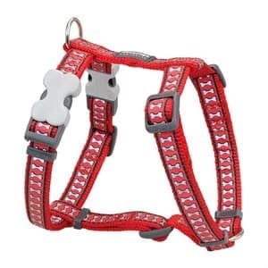 Red Dingo Fosforlu Kemik Desenli Köpek Göğüs Tasması XL Kırmızı