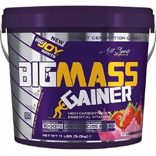 BigJoy Sports Bigmass Gainer Çilek Aromalı 5 kg