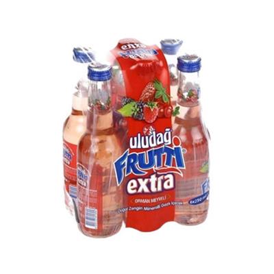 ULUDAG FRUTTI EXTRA 250ml*6 LI ORMAN MEYVELI