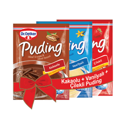 Dr. Oetker Puding 3'lü 387 G