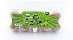 YUMURTA Yeşilküre Organik 10 lu