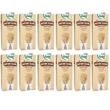 Pınar Nature Blend Bitkisel Bazlı Yulaf İçeceği 1 Litre x 12 Adet Vegan Laktozsuz İlave Şekersiz