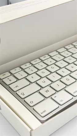 Apple Keyboard F Türkçe  Numerikli USB Kablolu