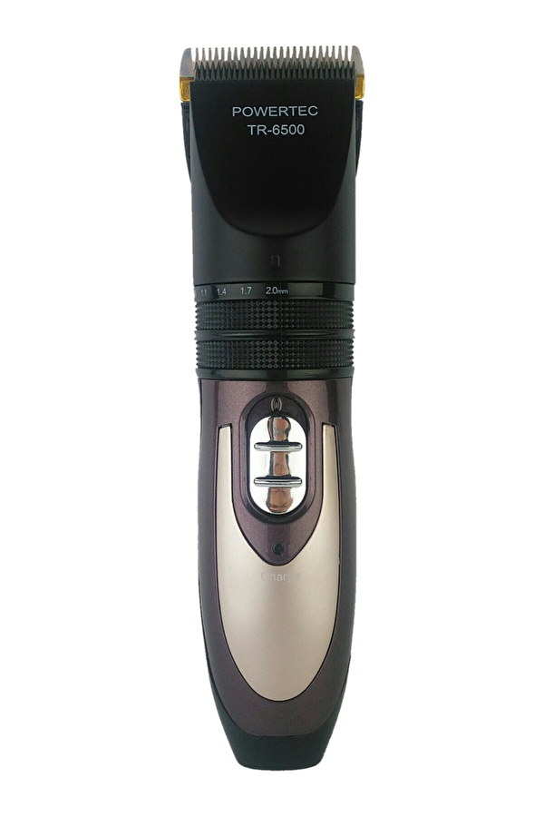 Powertec Saç Sakal Tıraş Makinesi TR6500