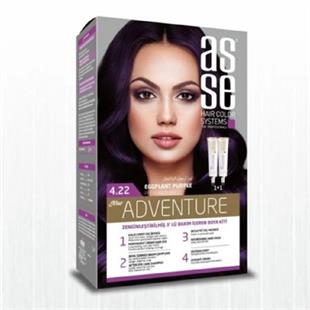 Asse Hair Color System Saç Boyası Patlıcan Moru No: 4.22